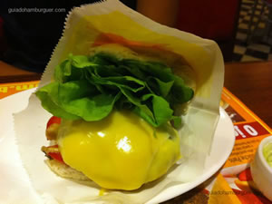 Cheese salada (x-salada) com maionese à parte
